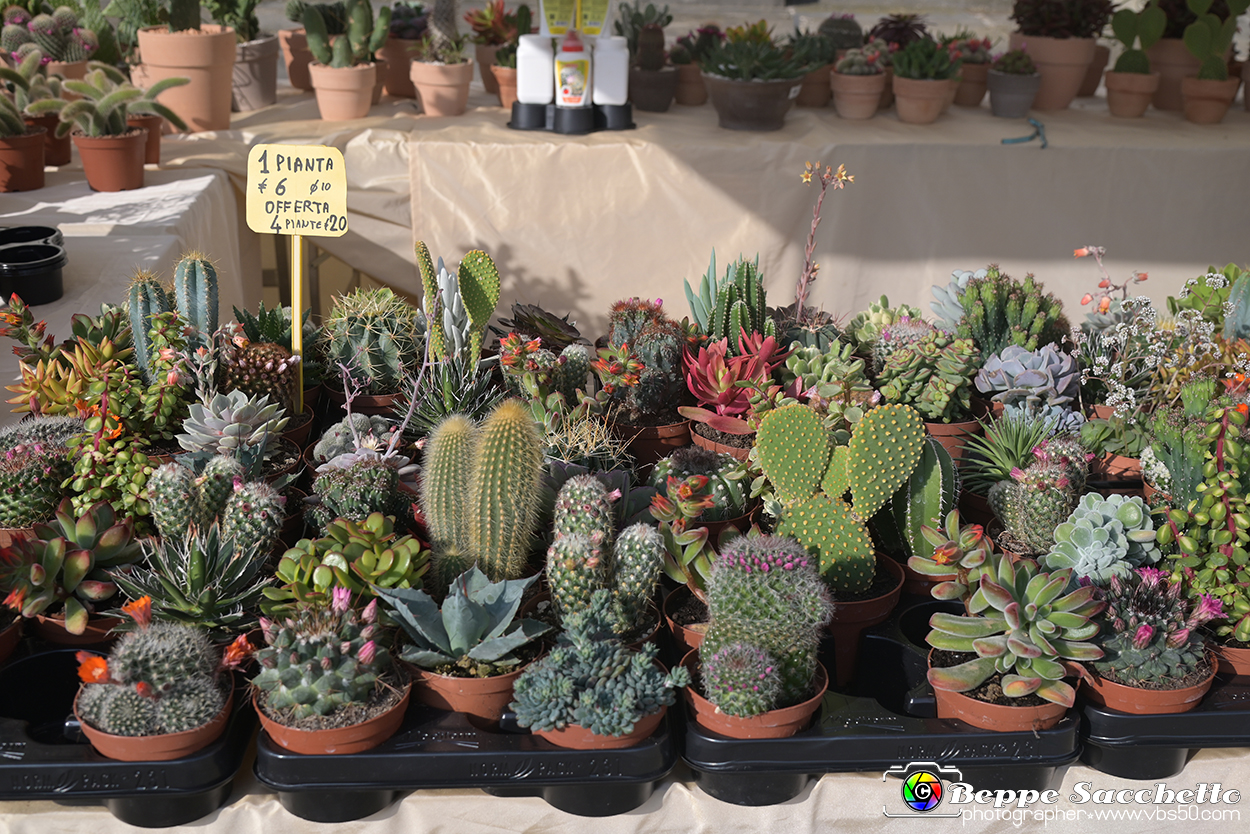 VBS_8959 - Mostra Mercato FloReal 2024.jpg